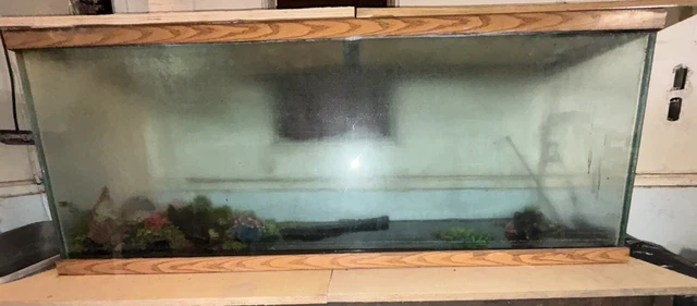 125 Gallon Aquarium