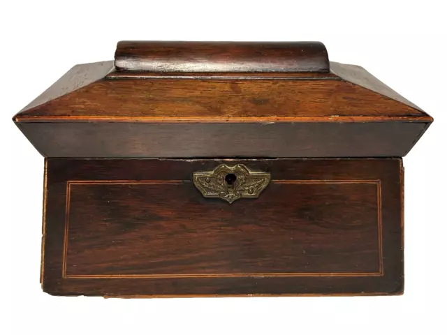 19th Century Mahogany Sarcophagus Caddy