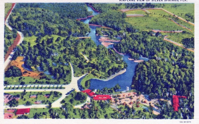 Airplane View of Silver Springs Florida Postcard
