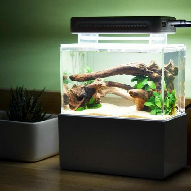 Mini Aquarium Fish Tank Home Desktop Water Filtration Led Light Decor Tank 4
