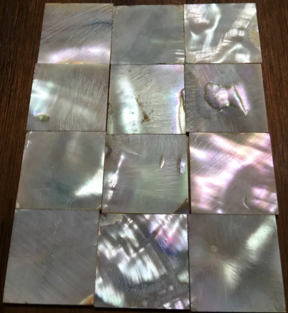 29.1 grams (12pcs) Abalone Fretboard Inlay NOS Gibson Kalamazoo Factory Lot-12 29.1 grams (12pcs) Abalone Fretboard Inlay NOS Gibson Kalamazoo Factory Lot-12