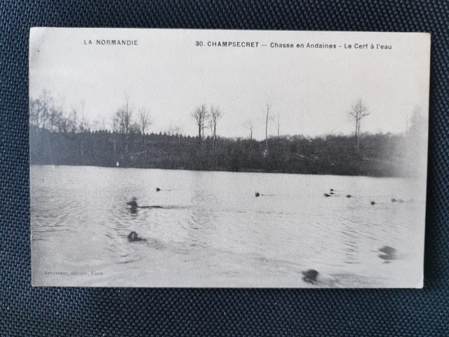 CPA 61 CHAMPSECRET - Chasse en Andaines - Le Cerf à l'eau