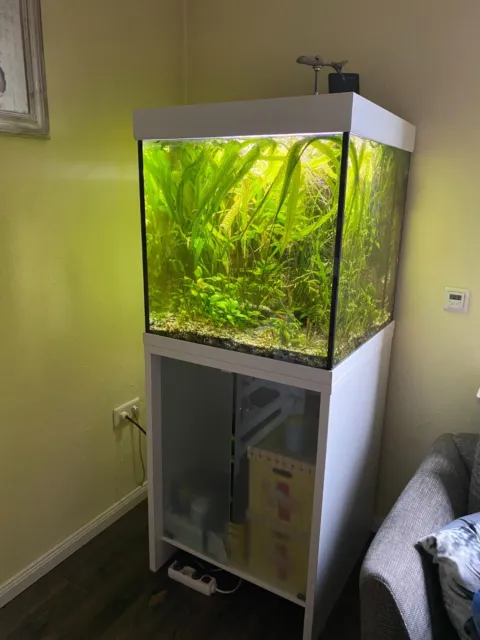  Aquarium mit 100 Liter, sieht aus wie neu