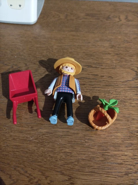 Figurine Playmobil Jardinier Avec Brouette - Thème Ferme/campagne - Occasion Bel état