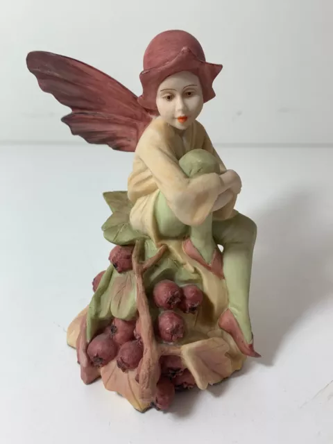 Danbury Mint Flower Fairies Hawthorn Fairy Figurine Handpainted