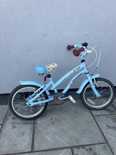 Cherry lane girls bike hotsell