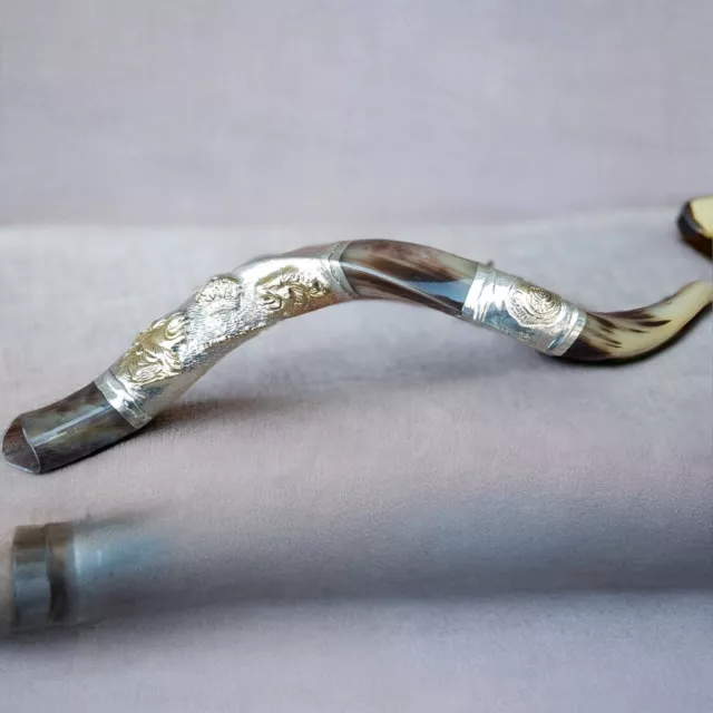 Shofar Amazing Silver Plated 24+"  Yemenite Horn Kudu Lion Of Judah Menorah