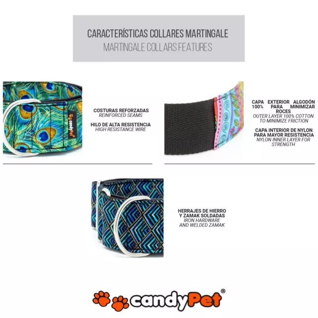 candyPet® Martingale Dog Collar - Fruits Of Forest Model M 3