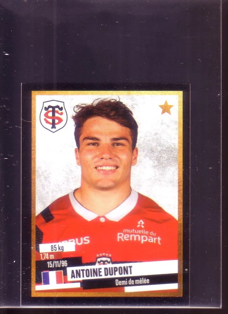 Panini Rugby Top 14 2023-2024 – Blister 8 Pochettes (40 Stickers) – Collection Officielle, Album 64 Pages – Cadeau Fan Rugby
