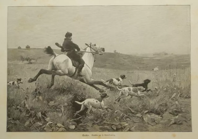 Treiber  Jagd Jagdhunde Pferd Treibjagd  original Holzstich von 1889