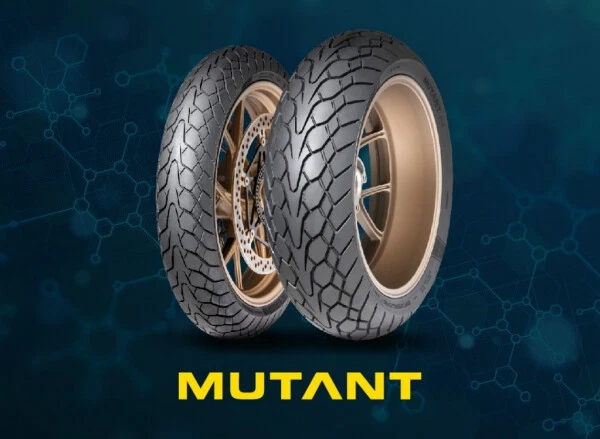 Pneumatici gomme moto DUNLOP 170/60 ZR17 72W MUTANT  M+S
