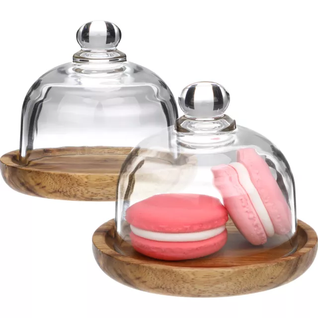 Mini Wooden Cheese Dome & Glass Dome Plant Cake Stands (2 Sets)-DO