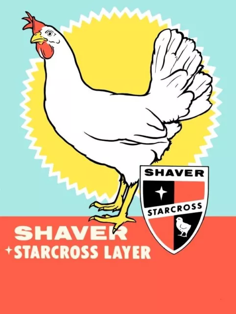Shaver Starcross Layer Hens NEW Sign: 18x24" USA STEEL XL