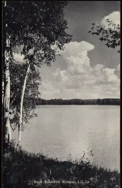 HELMER MI Michigan Manistique Lake RPPC Birch Trees Vintage Postcard 1940s