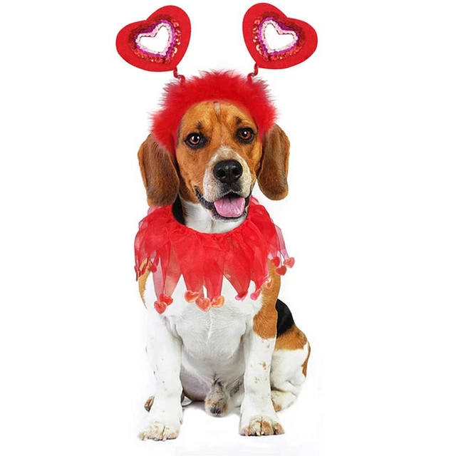 2 Teile/satz Haustier Kostüm Lebendige Farbe Cosplay Haustier Hunde Gaze