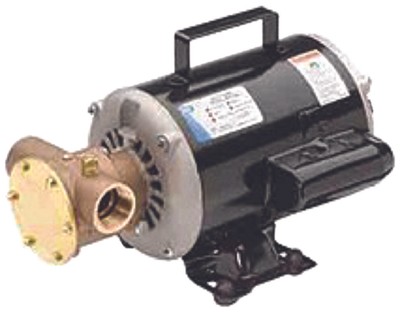 GPM Jabsco 36680-2000 Cale Eau Pompe 12V 5.5GPM 3/4ID Tuyau M Service Bateau Marine 