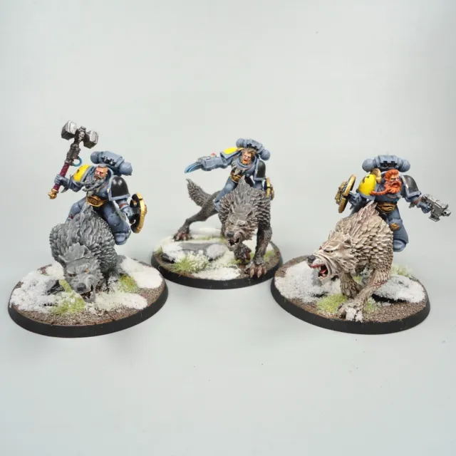 Warhammer 40k Army Space Marines Space Wolves Thunderwolf Cavalry Painted