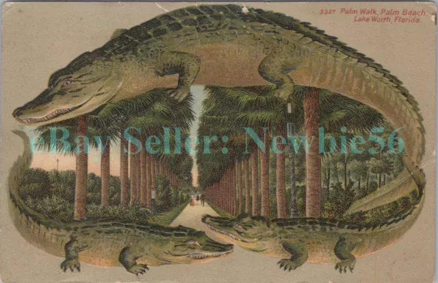 Lake Worth Florida FL - WALK AT PALM BEACH - Langsdorf Alligator Border Postcard