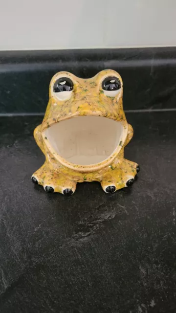 ON SALE Retro Vintage 1970 Ceramic Frog Sponge Holder - Brown and Orange