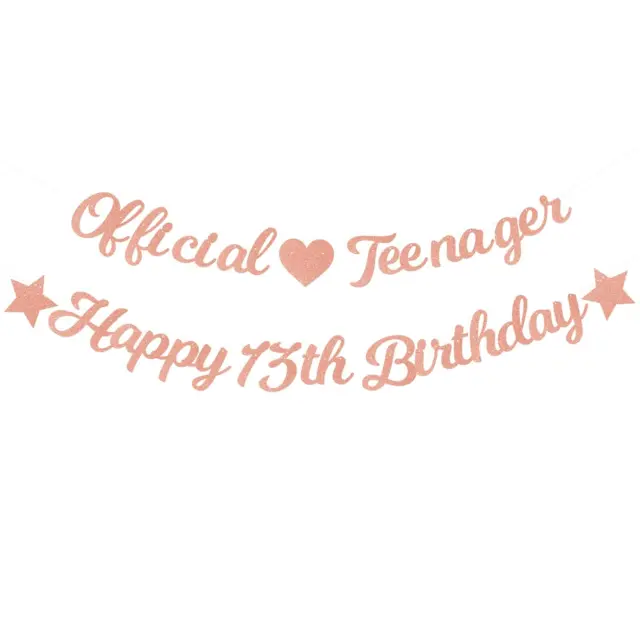 Elicola 13th Birthday Decorations for Girls Official Teenager Banner with Happy