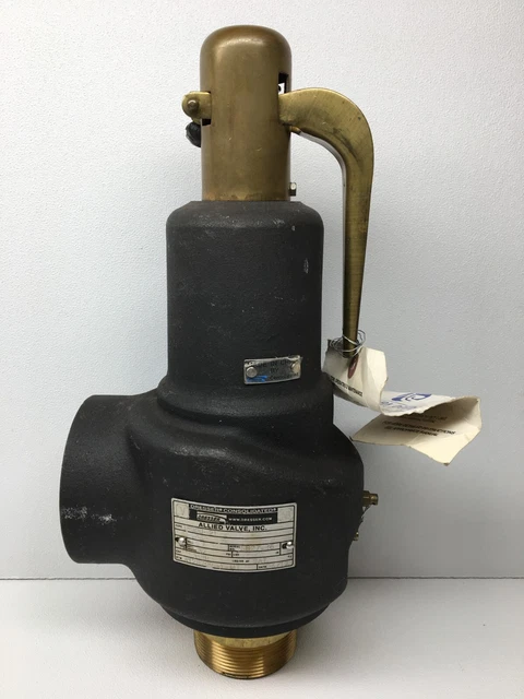 New! Dresser Allied Valve 1543J-21 Safety Relief Valve (#7306)