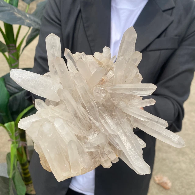 3.1lb Large Natural Clear White Quartz Crystal Cluster Rough Healing Specimen