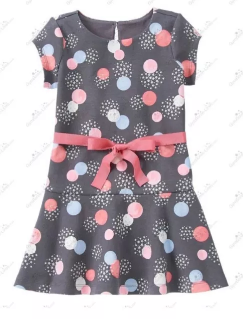 Gymboree Girls 10 "Cozy Fairytale" Gray Sparkle Polka Dot Dress NWT