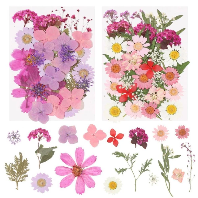 Vela de aromaterapia con flores secas prensadas plantas naturales flores secas reales