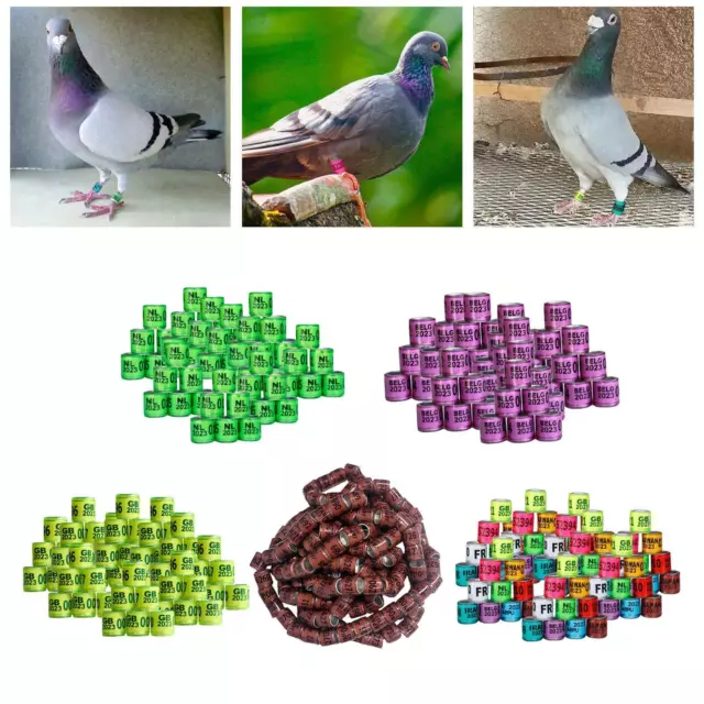 Racing Pigeon Foot Rings Durable with Numbers Identification 8mm Identify Dove