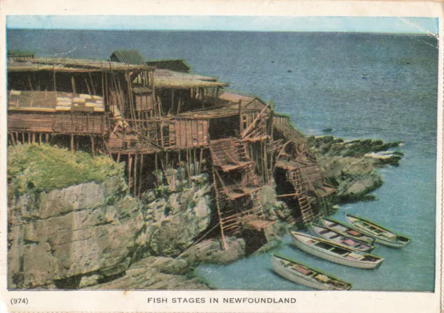 Postcard CA St Johns Newfoundland Canada-Pouch Cove-Fish Stages-1956 cancel B9