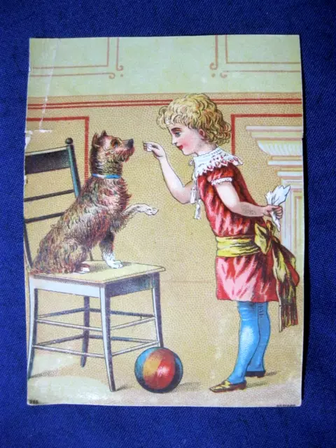 RARE Victorian Trade Card Madame Griswold's Skirt Supporting Corsets Parlors 56