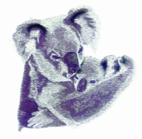 Embroidered Fleece Jacket - Koala Pair BT3648 Sizes S - XXL