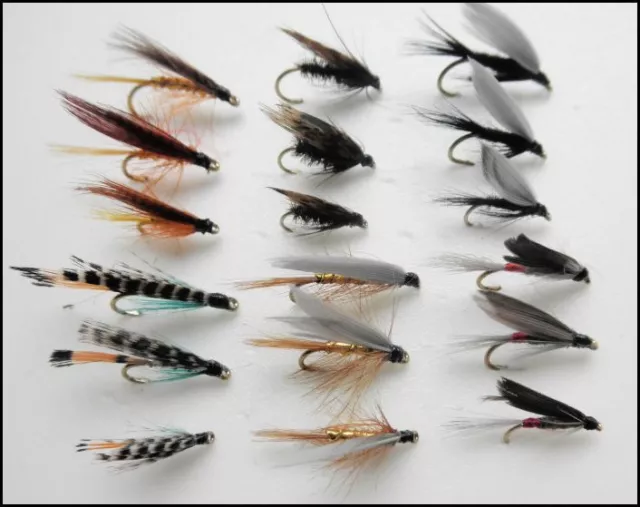 Wet Trout Flies, 18 Pack, 6 Named varieties, Mixed Size, For Fly Fishing SF3T