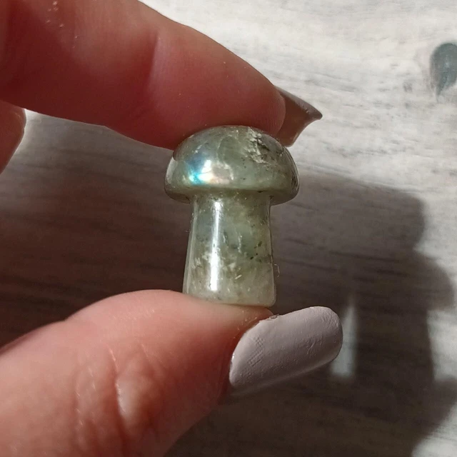 Labradorite - x1 Crystal Mushroom (Polished, Carving, Gemstone, Healing)