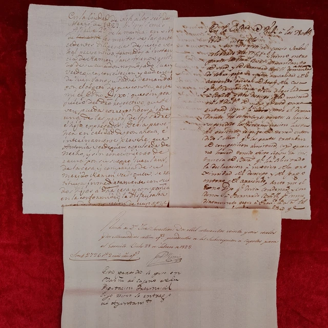 Elegante Bordeauxrote Dokumentenrolle Für A4-Dokumente