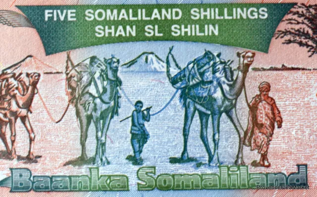 SOMALILAND Billet NEUF de  5 SHILLINGS PICK # 1  UNC.