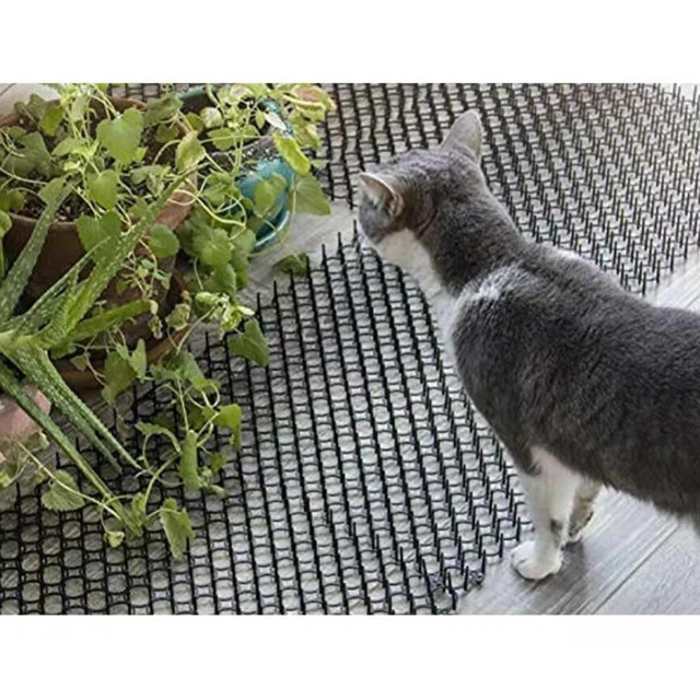 8 Praktische Filz-Blumentopfmatten - Perfekte Bewässerung Für Ihre Pflanzen