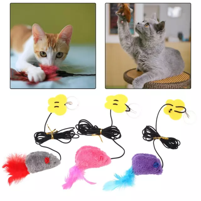 Suspendu Porte Chat Jouet Plume Jouet Teaser Jouets Porte Cadre Attrape Jouet