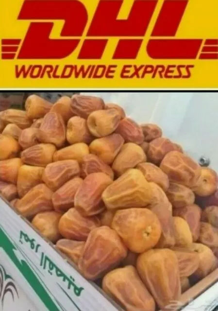 2.95  KG 6.5  Lb  dates organic premium   تمر سكري مفتل ناشف فاخر Sukkari Qassim 2