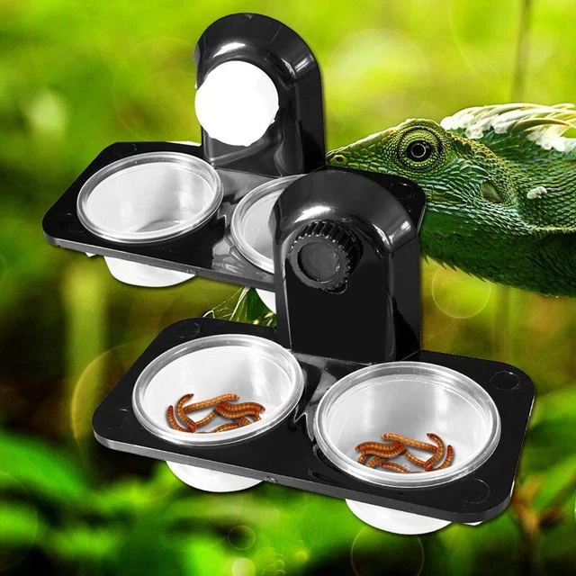 Reptile Mangeoire Bol D'Alimentation Pot Support Nourriture ABS Réservoir