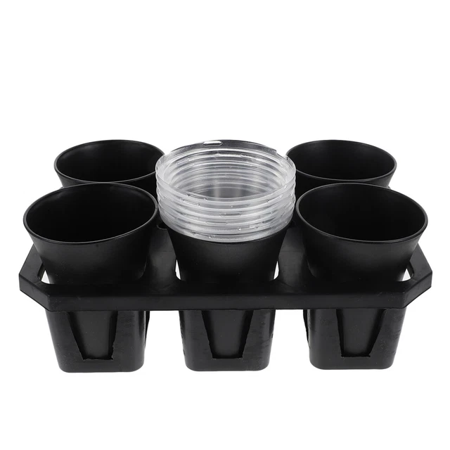 Pflanzen Kindergarten mit Kuppel: Starttöpfe 6pcs transparent Blumentopf