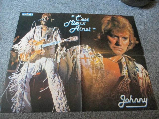 Johnny Hallyday - Tableaux, Posters Et Arts Décoratifs