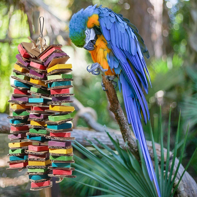 Bird Chewing Toys Cage  (Cage) Cockatiel Bauble Spielzeug für Papageien