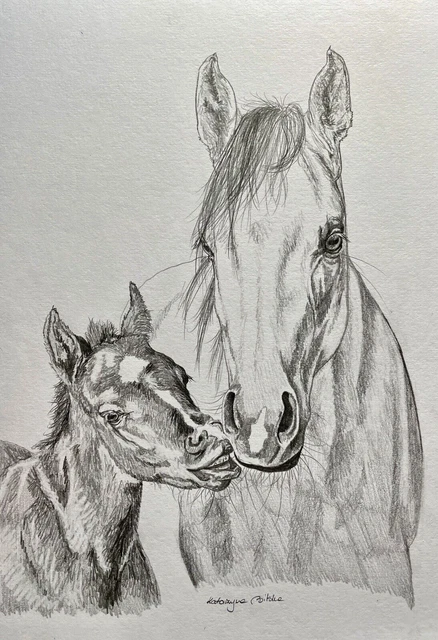 ORIGINAL ZEICHNUNG KUNST Bleistift Skizze arabisches Pferd Stute und