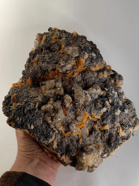 🔥XL Cerussit Baryt Stufe, Mibladen Marokko🔥