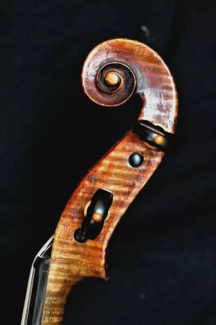 Old violin lab. "SIMPERTUS NIGGELL, FÜSSEN, 1776" - Alte Geige