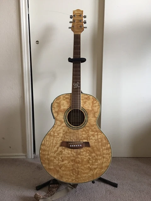 Ibanez EW20ASNT1201 Acoustic/Electric Guitar
