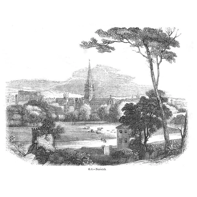 NORWICH View of the City - Antique Print 1845