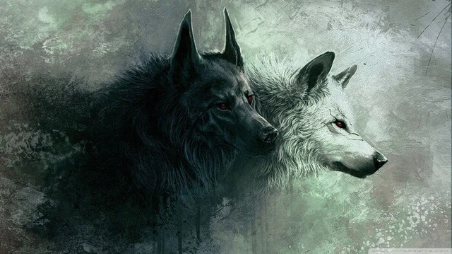 Tableau Toile Loup Animal Sauvage - 50x70 Cm, Décoration Murale Moderne