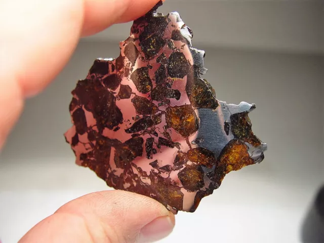 Fantastic Full Slice! ! Rare Plessitic Pallasite! Nwa 10023 Meteorite 23.7 Gms